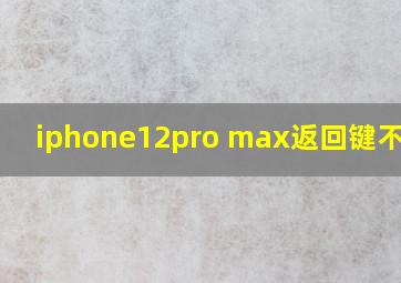 iphone12pro max返回键不灵敏